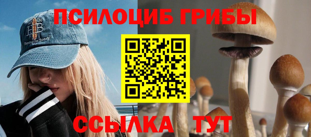 Коркино  Псилоцибиновые грибы ЛСД  где купить наркоту  Вход с VPN 
